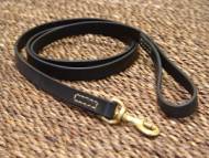 dog leash