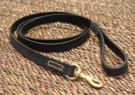 Boxer leash