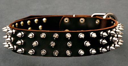 Boxer collar