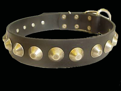 Boxer collar