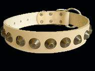 Boxer leather dog collar