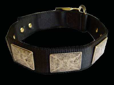 Nylon dog collar