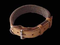 Boxer collar