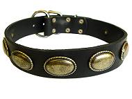 leather dog collar for boxer dog 