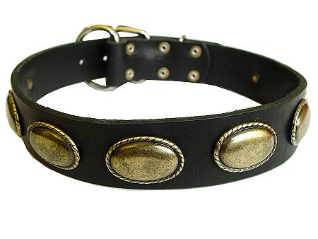 leather dog collar for rottweiler