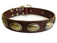 leather dog collar for boxer