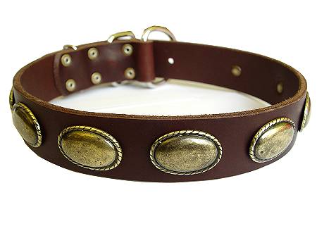 leather dog collar for rottweiler