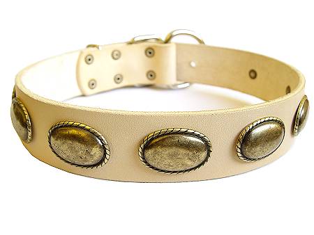 leather dog collar for rottweiler